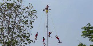 A performance by Papantla flyers.