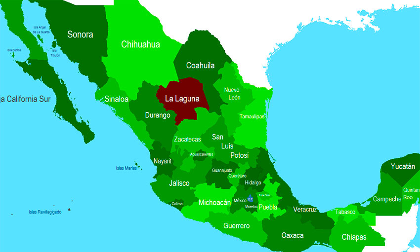 The comarca lagunera region of northern Mexico.