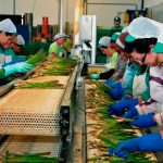 mexican women at work