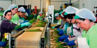 mexican women at work