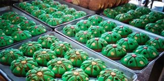 The peyoconchas resemble the buttons that are the crown of the peyote cactus.