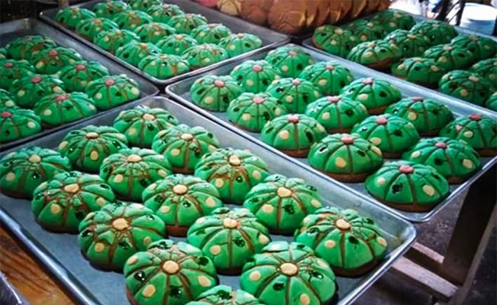 The peyoconchas resemble the buttons that are the crown of the peyote cactus.