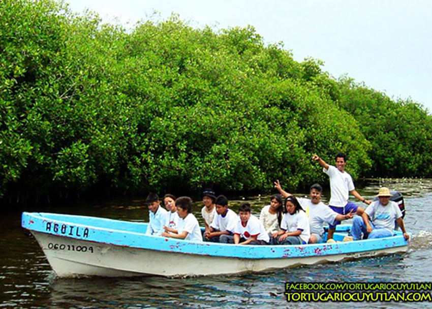 A panga (skiff) ride among the Palo Verde Estuary's mangroves.