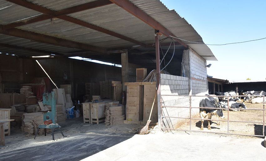 In Chipilo, dairy farms reigned for a century but have given way to carpentry.