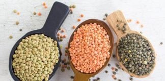 Lentils make a good blank canvas for the intense flavors in Mexican cuisine.