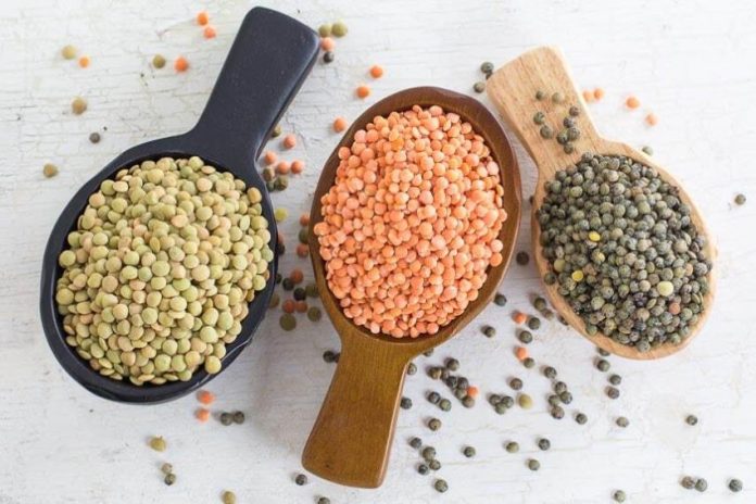 Lentils make a good blank canvas for the intense flavors in Mexican cuisine.