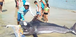 One of the Puerto Escondido fishermen with the big catch.