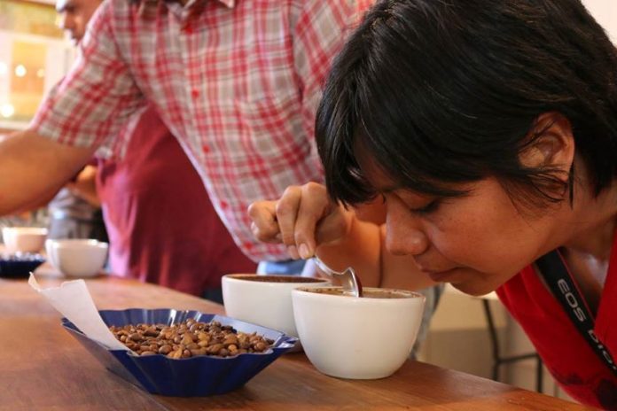 A coffee tasting event at Yuku Kafe in Oaxaca.
