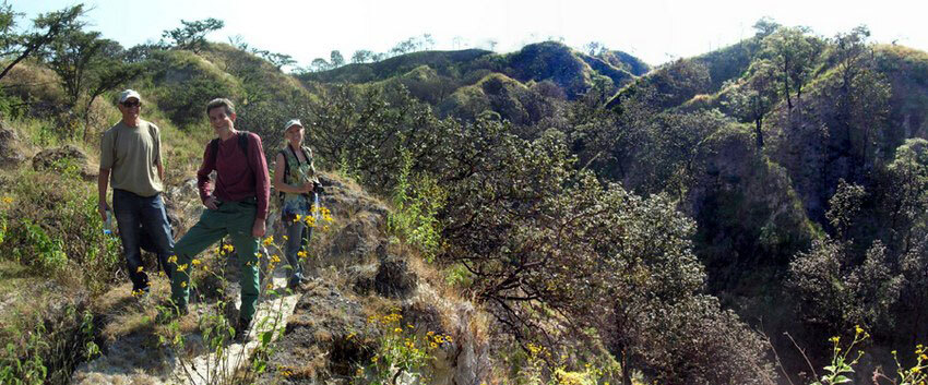 Hikes in the Primavera Forest were a daily offering at the spa.