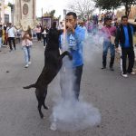 In Mexico, even dogs are fans of cohetes.
