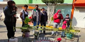 Pilgrims gather at the new image of the virgin in México state.