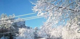 A wintry scene Friday morning in northwestern Chihuahua.