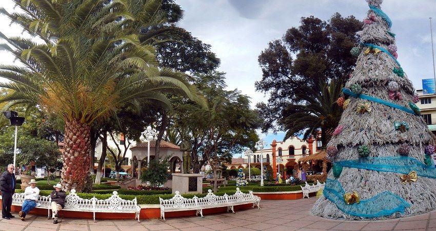 San José de García has a Spanish-moss Christmas tree.