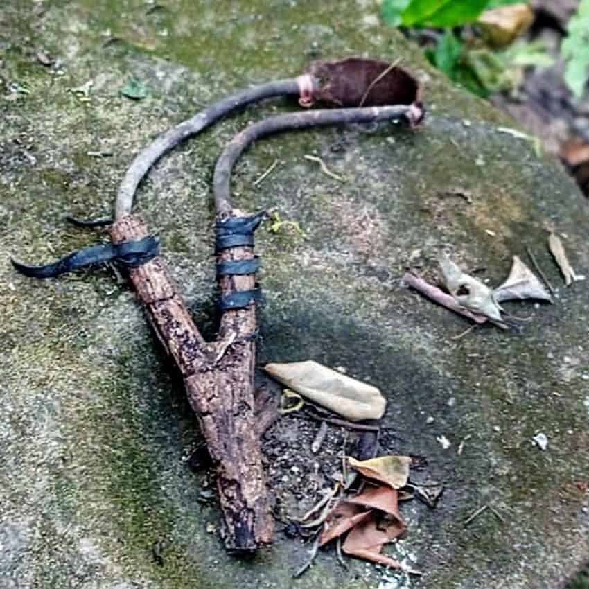 Old slingshot found below the floor of Hacienda de Ibarra.