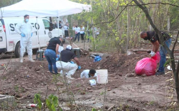 Members of the Sabuesos Guerreras search for bodies.