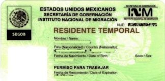temporary work visa