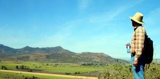 This farmland was a lake of more than 70 square kilometers until the Mexican government dried it up in 1930 to create cane fields.