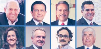 'Dinosaur' candidates