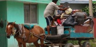 A horse-drawn garbage cart in Ecatepec.