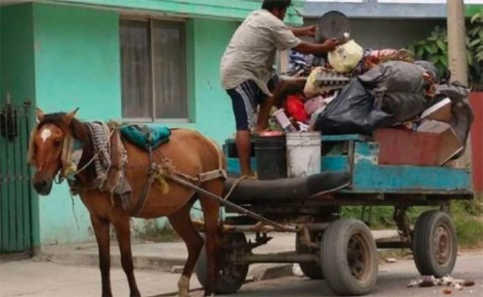 A horse-drawn garbage cart in Ecatepec.