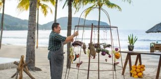 Images of warm beaches filled with palm trees lured the writer for the first time to Zihuatanejo from his snowy home in northern California.