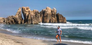 The seal enjoys a rest on a beach in Huatulco.