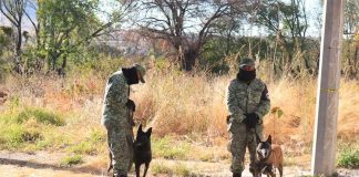 Officials at the site of a mass grave in Salvatierra in November.