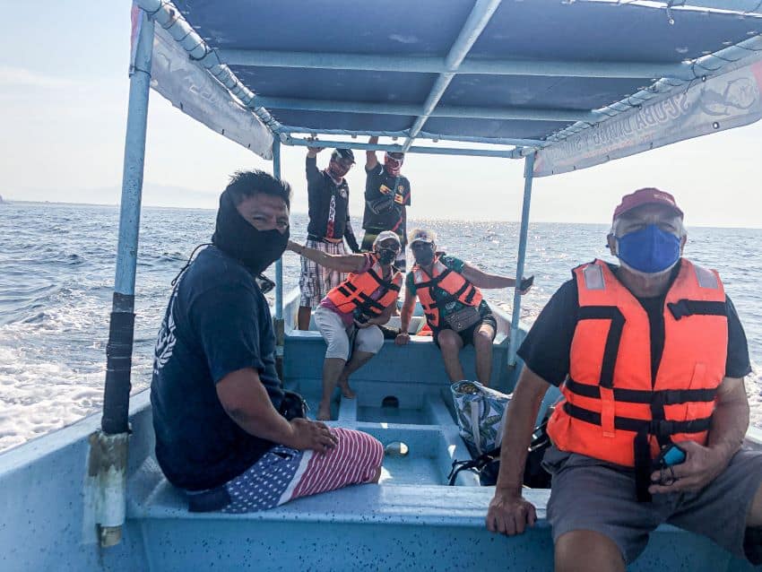 Guides take customers on a small boat and keep a respectful distance, which nevertheless allows a closer view of whales than on watches in crowded waters.