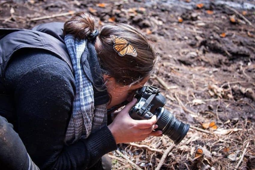 Iliana Huerta photographing monarch butterflies.
