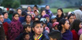 Only parents desperate to give their child a better life would send them on a dangerous migration to the US alone.