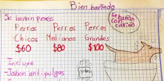 Dog washes start at 60 pesos at youngster's new business.