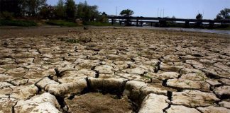 Most critical locations are in Sonora and Chihuahua.