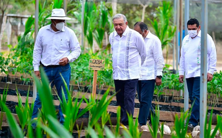 The president, center, inspects a tree nursery growing saplings for the tree-planting program.