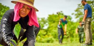 A woman in a straw hat plants a tree seedling in a grassy field