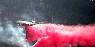 Fighting a forest fire in Arteaga, Coahuila, in March.
