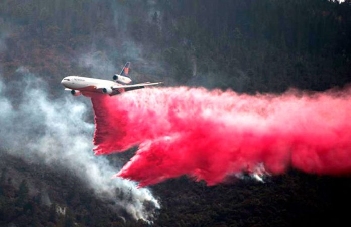 Fighting a forest fire in Arteaga, Coahuila, in March.