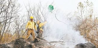 Morelos firefighter Jacobo Rivera López said he felt fear and loss as he fought fires in the national park.