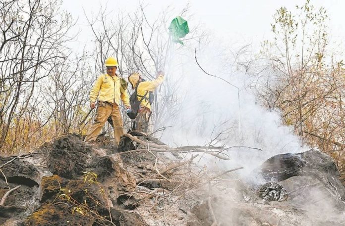 Morelos firefighter Jacobo Rivera López said he felt fear and loss as he fought fires in the national park.