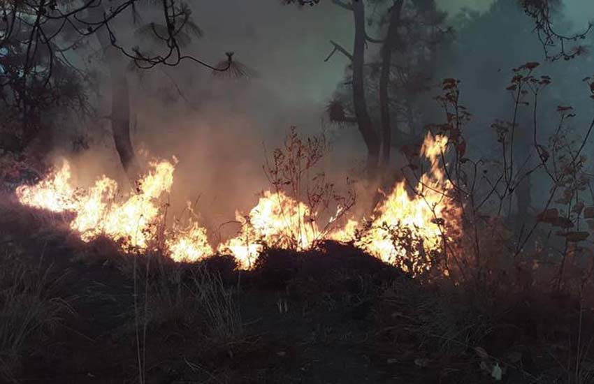 Forest fire in Valle de Bravo, México state last month.