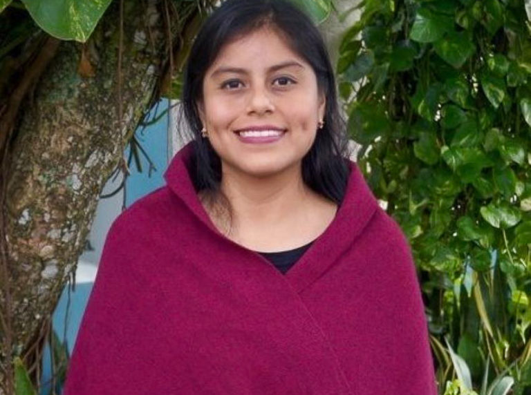 Purple wool rebozo, handwoven and dyed with traditional natural pigments.