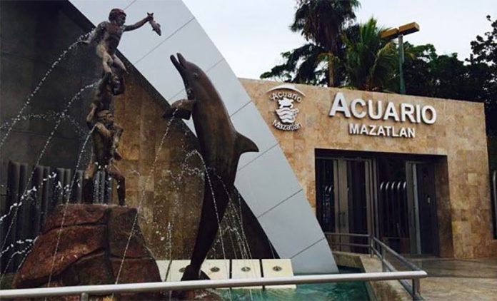 The existing Mazatlán Aquarium will close in October.
