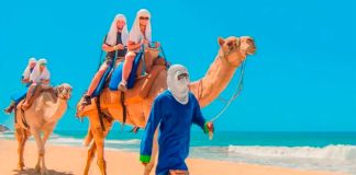 Visitors go for a camel ride, an attraction in Los Cabos, Baja California Sur.