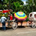 Horse-drawn carriages in the Yucatán capital.