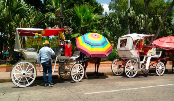 Horse-drawn carriages in the Yucatán capital.