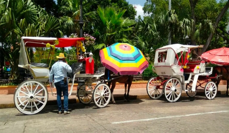 Mérida carriage drivers would switch to electric power if given support