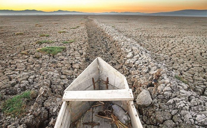 Dried up bed of Lake Cuitzeo, Michoacán.