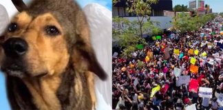 Rodolfo, left, and marchers in Los Mochis.