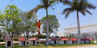 A residential development for dogs.