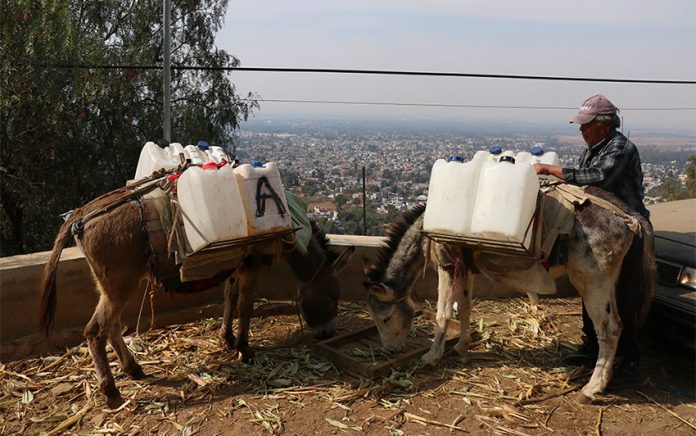 Donkeys deliver water in Mexico City.