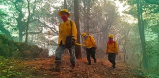 Firefighters in Morelos this week.